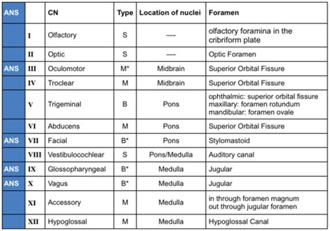 Match The Cranial Nerve Number With Its Name