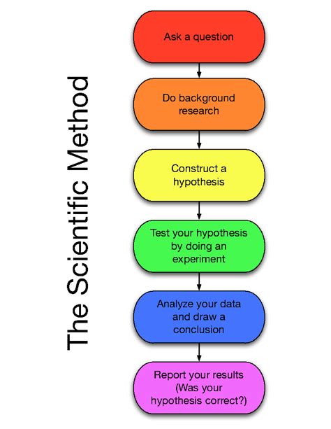 The Scientific Method Lifeformation Information For Your Life