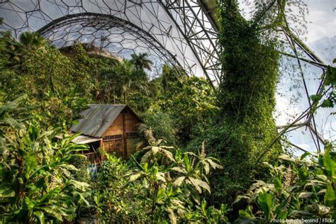Interesting Facts About The Eden Project Just Fun Facts