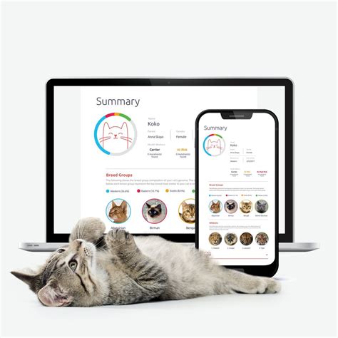 Your cat's dna contains more than 20,000 genes, creating a unique genetic code that is passed down from your cat's parents, grandparents, and so on. Basepaws Cat DNA Test Kit in 2020 | Cat help, Dna test ...