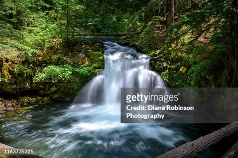 Whitehorse Falls In The Umpqua River Basin Southwest Oregon High Res