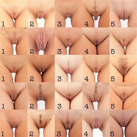 Different Types Of Pussy XXGASM