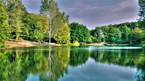 Beautiful Lake Surrounded By Fall Green Autumn Trees Bushes Under White