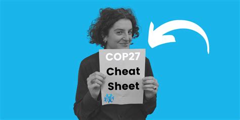 Cop27 Cheat Sheet Your Guide For Relevant Cop Terms Wecf