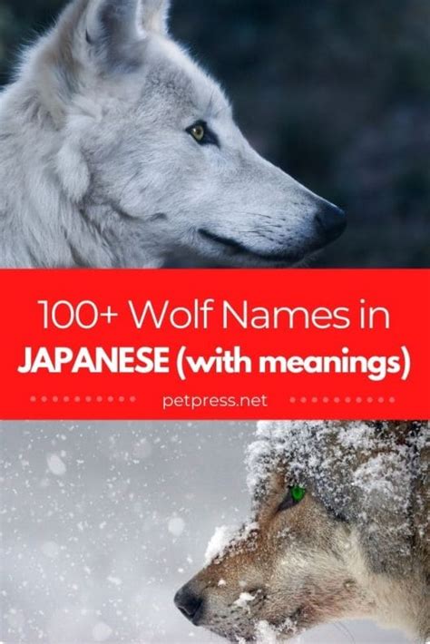 100 Japanese Wolf Names Names In Japanese With Meanings
