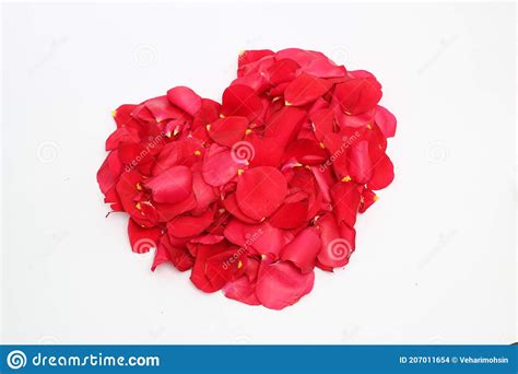 Flowers Heart Over White Valentine Stock Photo Image Of Holiday