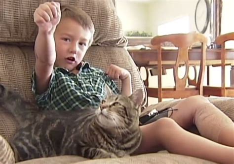 Video Of Cat Attacking Dog To Save Boy