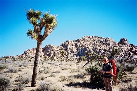Backpacking Boy Scout Trail Joshua Tree National Park — Wandering Always