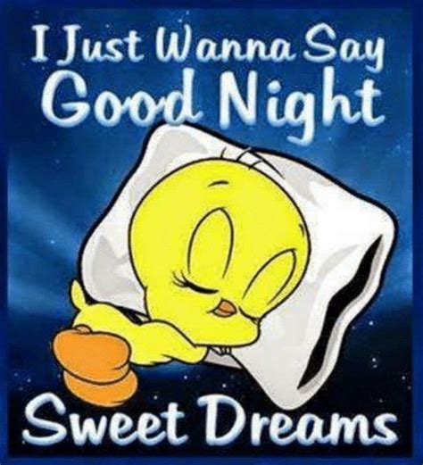 101 Good Night Memes I Just Wanna Say Good Night Sweet Dreams