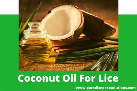 How To Use Coconut Oil For Lice