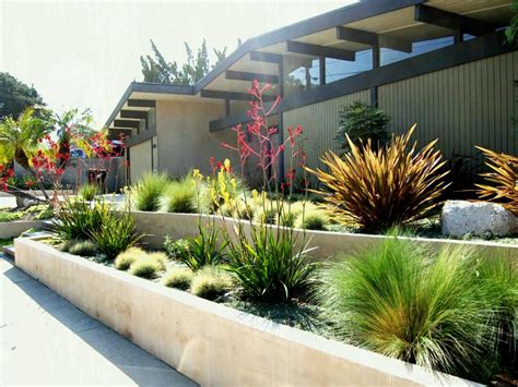 Drought Tolerant Front Yard Landscape Design Rickyhil Outdoor Ideas