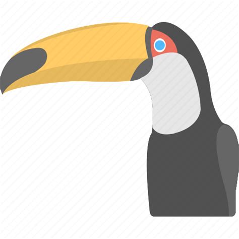 Rainforest Toucan Clipart