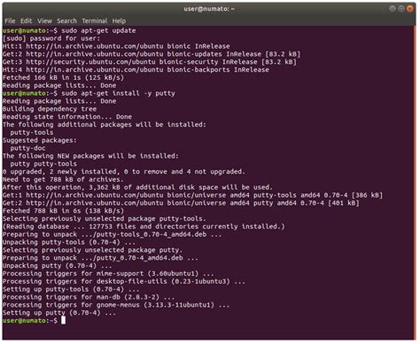 Как установить Putty на Linux