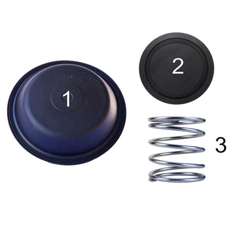 Bertolini style and valew style spray heads. Buy Spray Head Valve Repair Kit online at Access Truck Parts