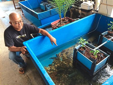 • the testator must be at least 18 years old and of sound mind. Breeding crayfish in your backyard - Star2.com