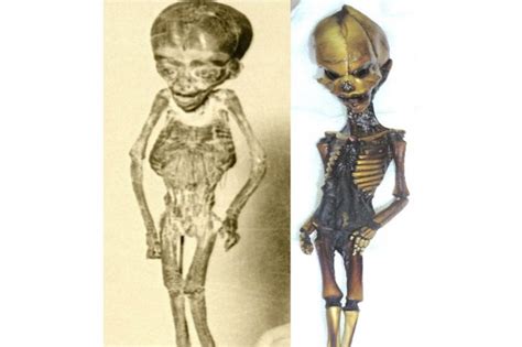 Ata Garry Nolan Alien Extraterrestre Foetus Atacama Momie