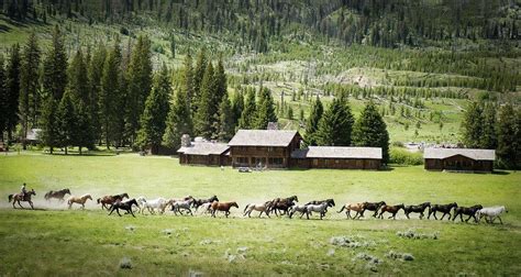 Horses Wildyellowstone Montana Photo From Treyratcliff At