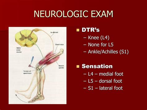 Ppt Back Evaluation Powerpoint Presentation Free Download Id300370