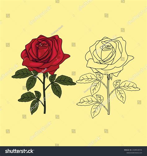 Hand Drawn Red Rose Vector Illustration Stock Vector Royalty Free