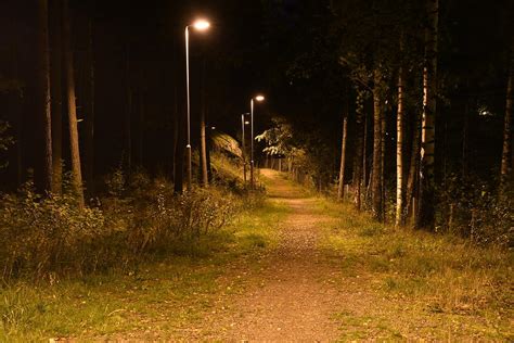 Forest Trail At Night Photograph By Shorestone Photography