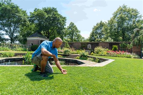 3 Easy Ways To Landscape Your Yard On A Budget