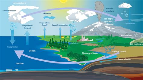 Detailed Hydrologic Cycle Diagram