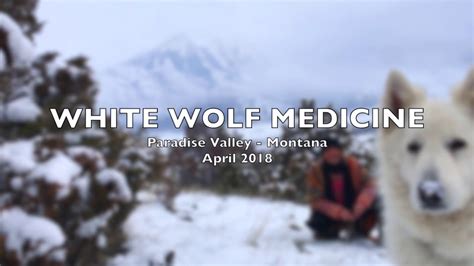 White Wolf Spirit Medicine Youtube