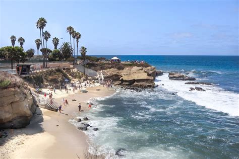 16 Best Things To Do In La Jolla California On Your First Visit