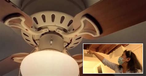 Woman Wakes Up To Blood Dripping From Ceiling Fan As Body Rots On