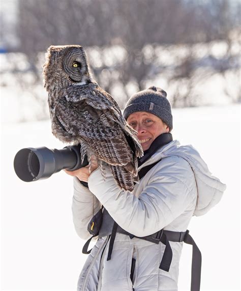 Great Grey Owl Lands On Wildlife Photographers Camera Petapixel