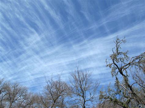The Country Scientist Cirrus Clouds Form Beautiful Patterns