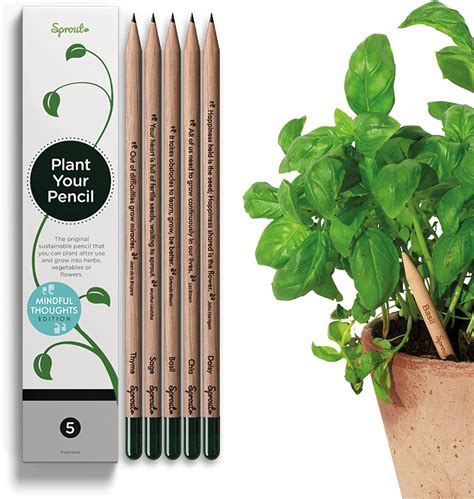 Sprout Pencils Mindful Thoughts Edition Graphite Plantable Pencils
