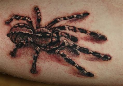 Spider 3d Tattoo Spider Tattoo 3d Tattoo Half Sleeve Tattoos For Guys