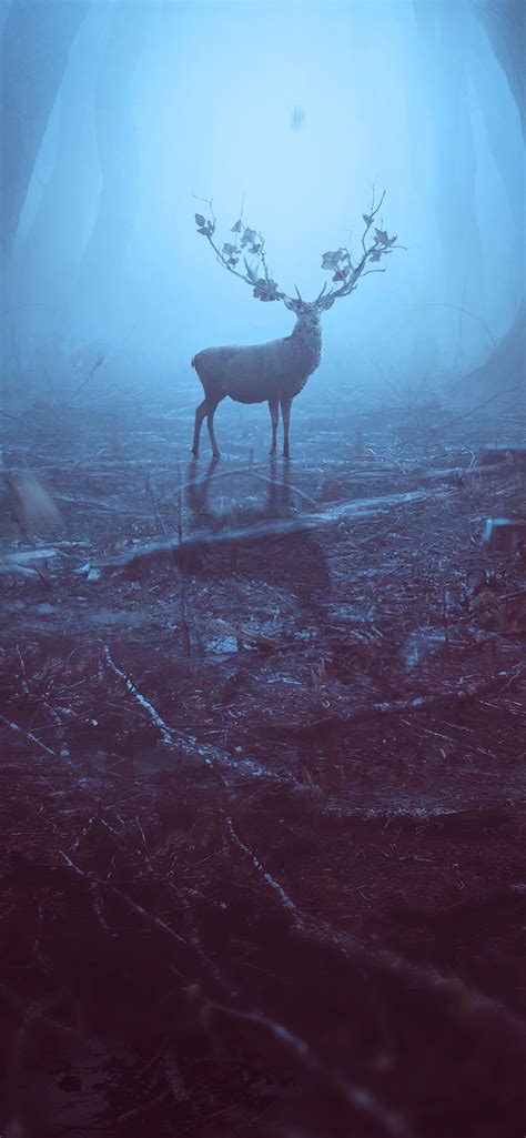1242x2688 Into The Woods Reindeer 4k Iphone Xs Max Hd 4k Wallpapers