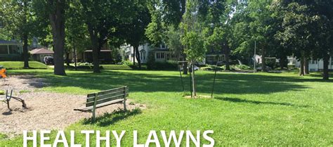 Here at halling wellness center, we specialize in assisting our patients through massage therapy. Healthy Lawns - Good Neighbor Iowa | Healthy lawn, Good neighbor, Home good