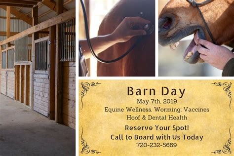 Open a walmart credit card to save even more! Board with Us Today to Reserve a Spot on Barn Day! | Horse ...