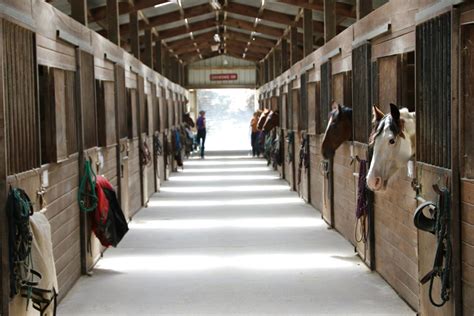 Horse Stables For Sale In Uk 59 Used Horse Stables