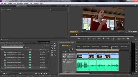 If yes, then the adobe premiere. Adobe Premiere Pro CC Tutorial | Normalizing Audio And ...