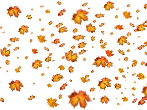 Fall Leaves Png Overlay For Photoshop | Fall leaves png, Photoshop nature, Autumn leaves