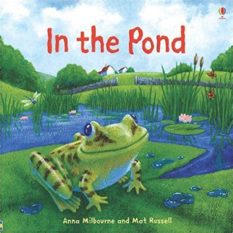 In The Pond Picture Books Anna Milbourne 9780794515447