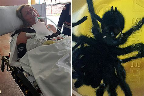 Womans Boob Bitten By Worlds Deadliest Spider As She Slept In Bed