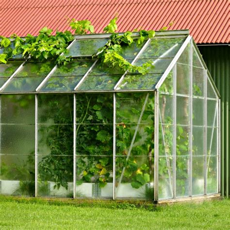 Diy Glass Greenhouse Plans Glass Designs