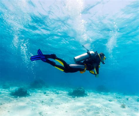 What Is Scuba Diving With Pictures