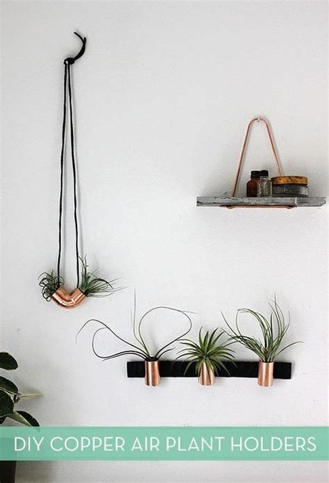 23 Exceptionally Beautiful Air Plant Holder Ideas To Collect