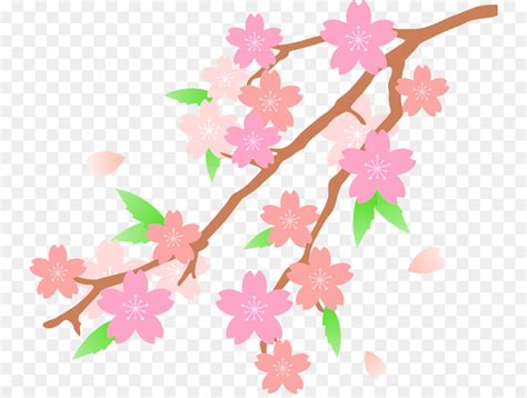 Cherry Blossom Clipart Clip Art Library
