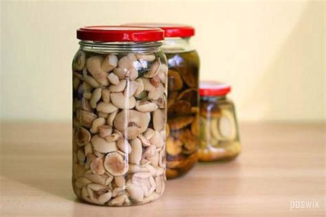 I am a wife to a kind, funny, charming and all around wonderful guy, jay, who is also an awesome dad. Pickled Mushrooms Are a Russian Christmas Tradition | Recipe | Pickled mushrooms recipe ...