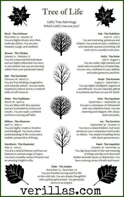 Celtic Trees And Personality Traits I Am Not Sure That This Is