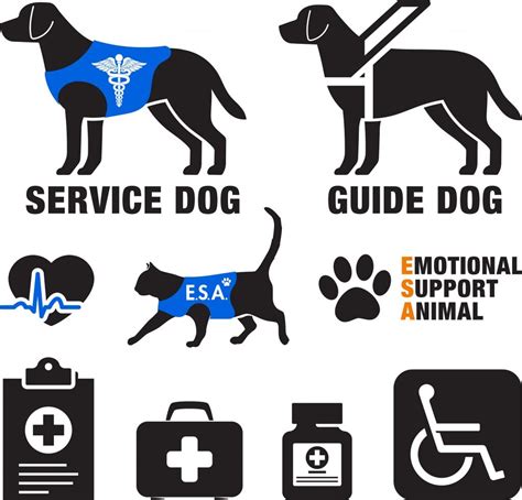 Frequently Asked Questions About Service Animals And The Ada — Paautism