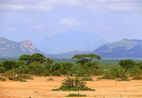 Jungle Covered Mountains Africa Ethiopia Landscape Nature Stock