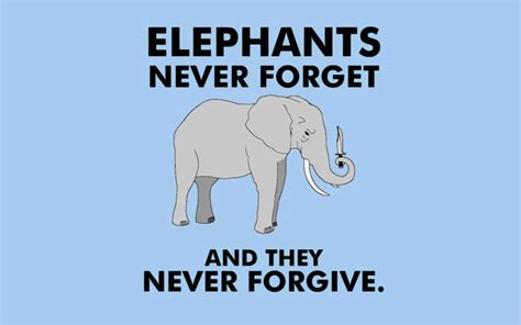 Elephants Never Forget And They Never Forgive Elephants Never Forget